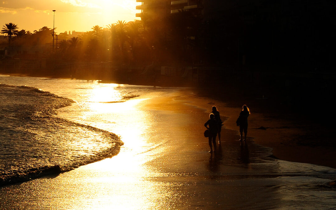 Golden hour, 35mm digital print. Available