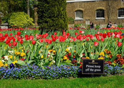 London Royal parks, 35mm digital print. Available