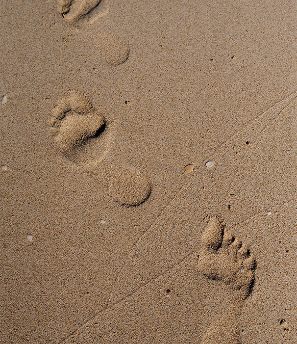 Morning footsteps, 35mm digital print. Available