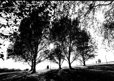 Primrose Hill, 35mm limited analogue print. Available